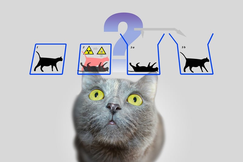 Quantum Physics Principles